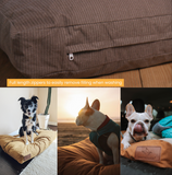 Lit pour chien 