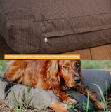 Lit pour chien 