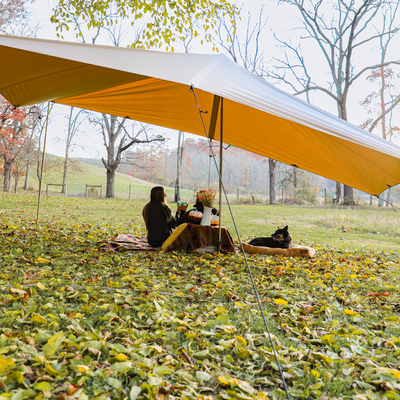 Tarps image1